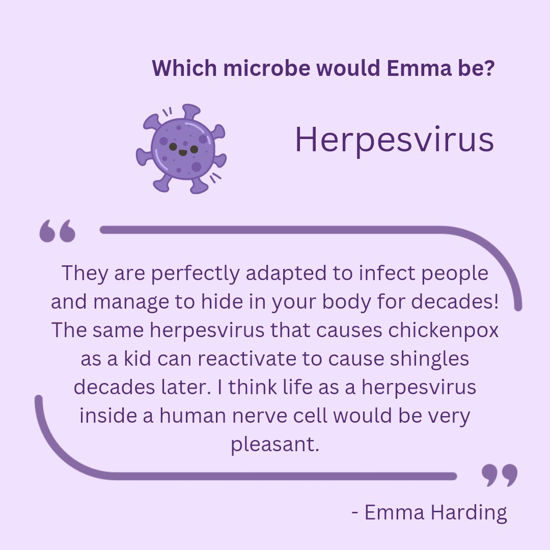 Introducing our new series 👀 📣 MICROBE MINDS 🦠 🧠 Where we delve into the minds of our JAMS monthly speakers and ask them the important questions! The first microbiologists to feature in this series is @emma__harding who we heard from in Feb 🤩 #microbeminds #JAMS