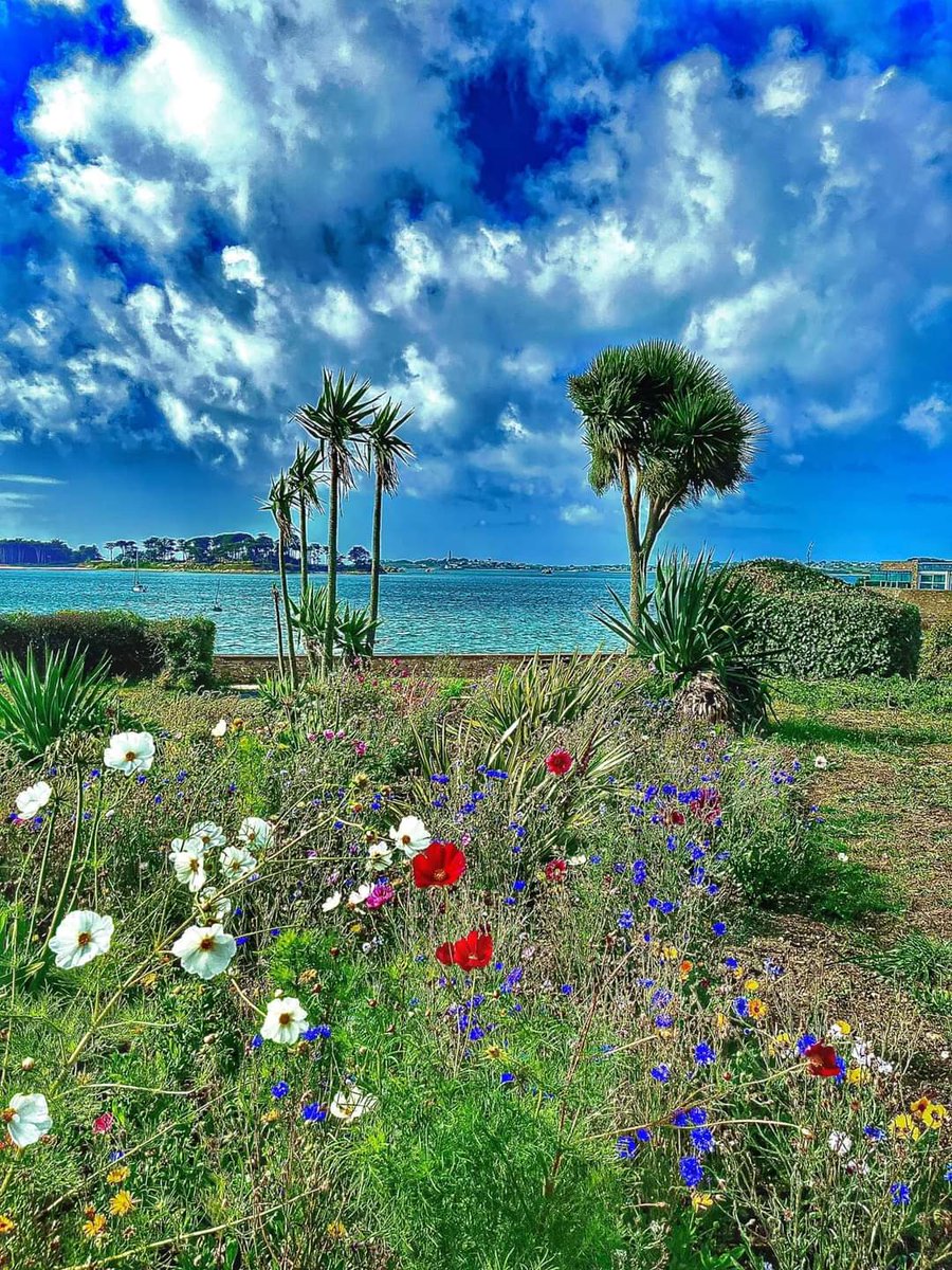 Roscoff - Finistère 💚💙