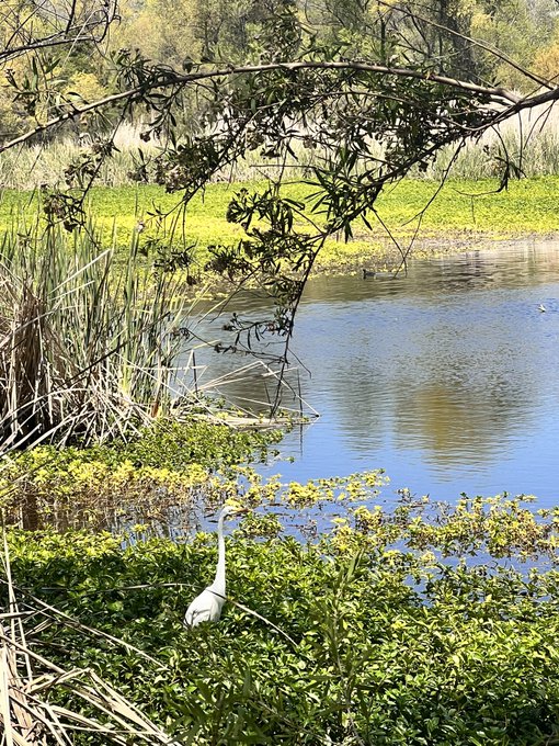 Scenes from today&rsquo;s nature hike. Heading home to make dinner then log on soon. https://t.co/kMpIrhba