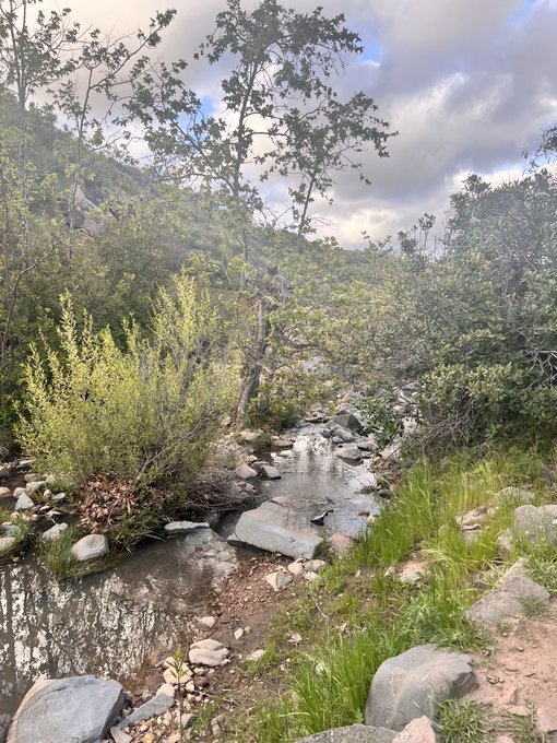 Scenes from today&rsquo;s nature hike. Heading home to make dinner then log on soon. https://t.co/kMpIrhba