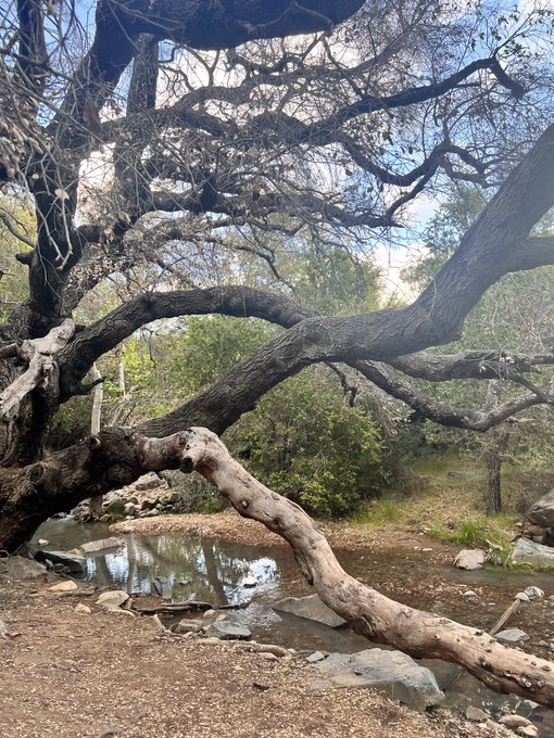 Scenes from today&rsquo;s nature hike. Heading home to make dinner then log on soon. https://t.co/kMpIrhba<a href="/tag/uglysweatercb"class="tags"><span>#uglysweatercb</span></a>