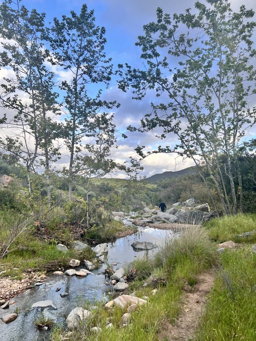 Scenes from today&rsquo;s nature hike. Heading home to make dinner then log on soon. https://t.co/kMpIrhba<a href="/tag/uglysweatercb"class="tags"><span>#uglysweatercb</span></a>