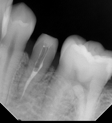 dentist_mickey tweet picture