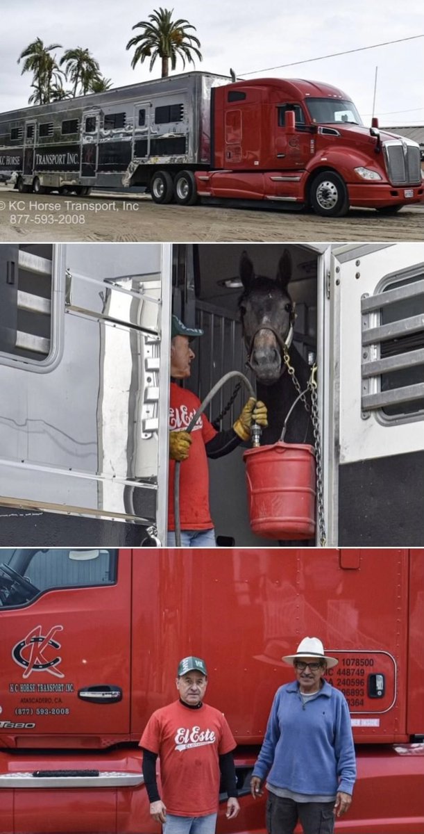 Kerrie Sahadi tweet media