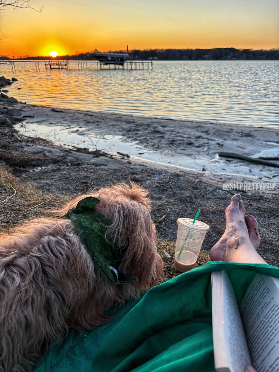 Sunday sunset at the lake with Goldendoodle Maverick 🌅

What did you do with your dog today? 

#petsofx #dogsofx #goldendoodle #dog #dogparents #dogsofwisconsin #wisconsin #discoverwisconsin