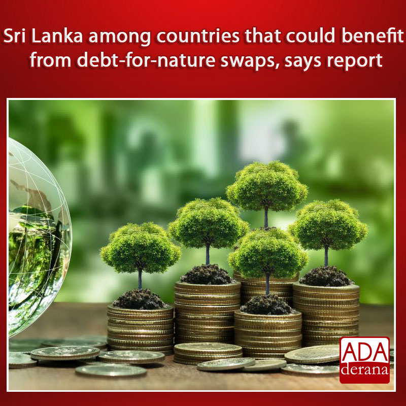 adaderana's tweet photo. Sri Lanka among countries that could benefit from debt-for-nature swaps, says report
Read more: https://t.co/iypB5zGoyw
#lka #srilanka #adaderana #news #lanka #SriLankaNews #Srilankannews #SriLankaNewsToday #debtfornature #debtswaps #SriLankaEconomicCrisis #SriLankaEconomy https://t.co/Zg3q9gokQo