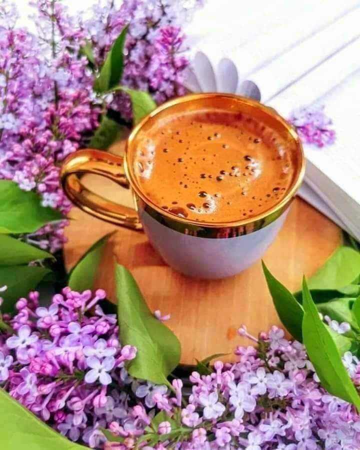 Good Morning,beauties!
A good coffee wakes us up, a book enlightens our mind and soul and flowers whisper to us about love and beauty!🤗😘💗🤗