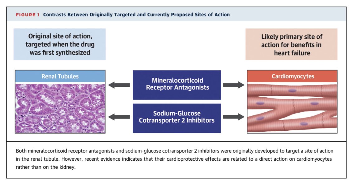 Eduardo R Argaiz tweet media