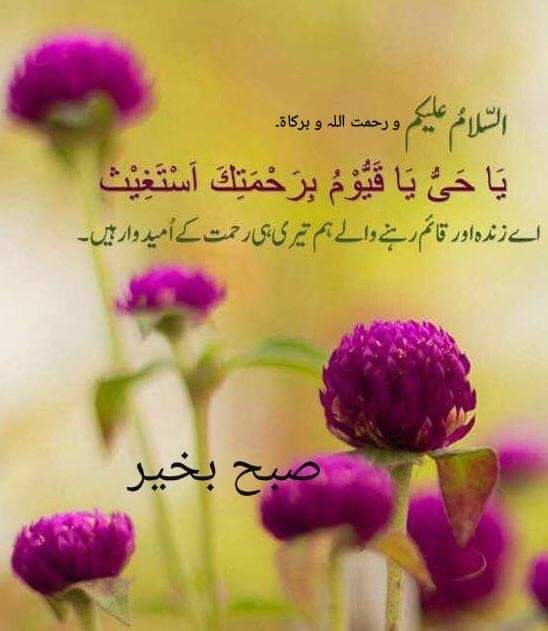 اسلام علیکم ورحمتہ اللہ وبرکاتہ ❤️صبح بخیر زندگی❤️ 
میرے 🌹پیارے اللہ 🌹جی ہم سب کے گھروں پر اپنی رحمتیں نازل فرما آمین یارب العالمین 🤲