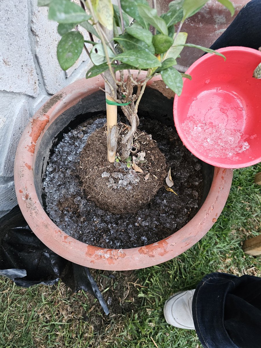 J_CortesB's tweet photo. Para ahorrar agua. https://t.co/z16p3efom0