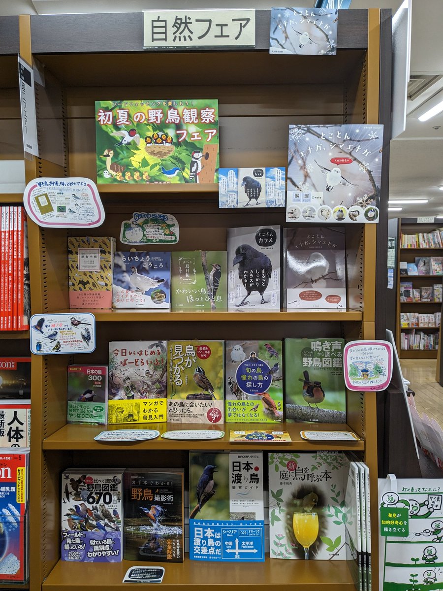 【自然フェア】

5月の愛鳥週間にあわせて、　
鳥のフェアをはじめました🐦
図鑑を選ぶために役立つPOPもそれぞれついています🐦
お散歩のおともにもぜひ🐦
自然6　フェア棚にて

#愛鳥週間
#鳥
#バードウォッチング 
#文一総合出版
#ジュンク堂書店三宮駅前店