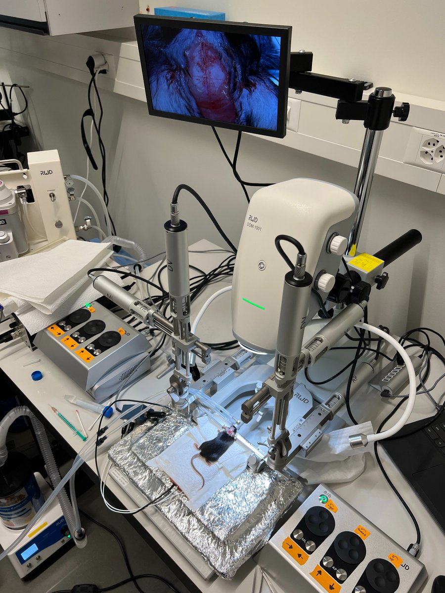 Very nice installation of RWD dual-arm motorized stereotaxic instrument and digital microscope, +really nice talk with lovely scientists from ETH Zurich. 😎

#brainresearch #neuroscience #lifescience #animalmodel #preclinicalresearch

RWD Life Science rwdstco.com