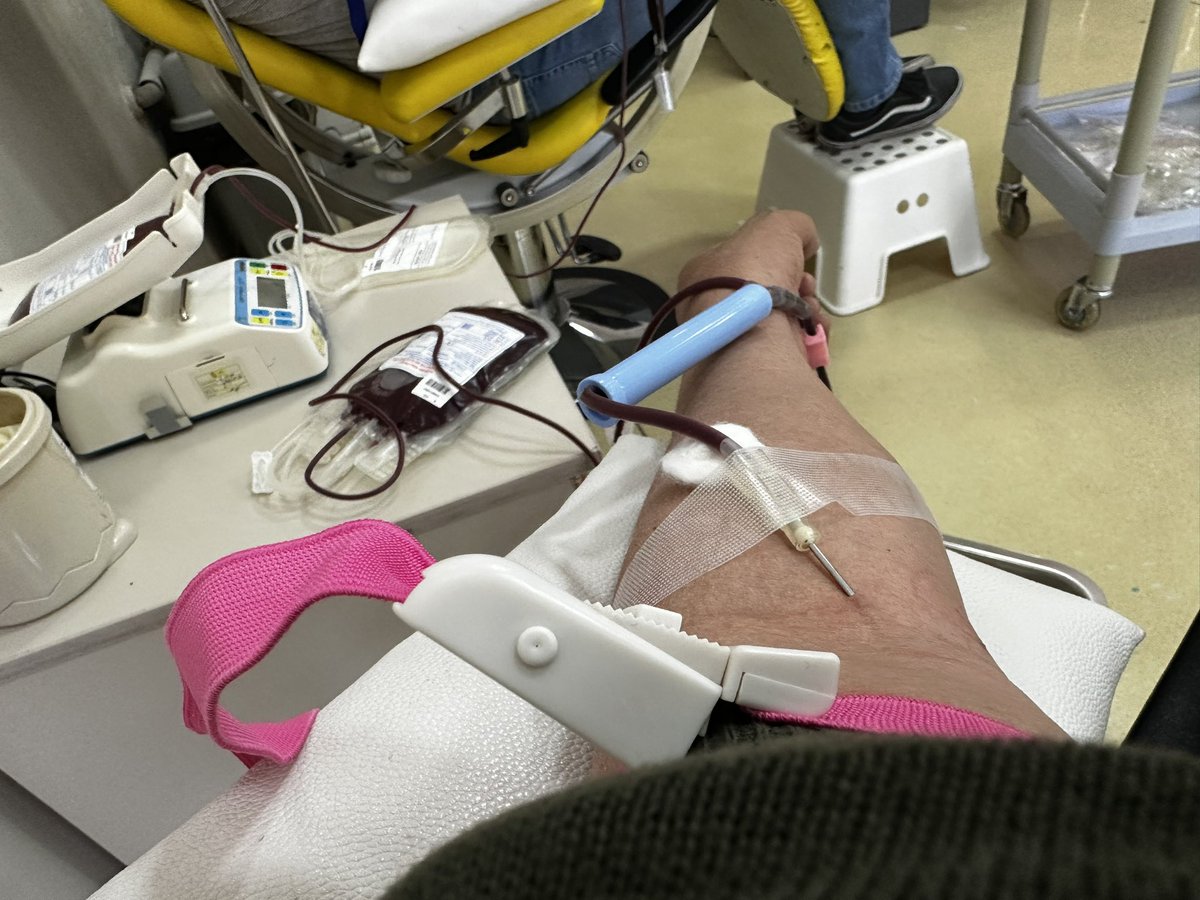 Цусаа хандивлаад байдаг нь зөв юмуу буруу юм уу, ойлгохоо байлаа.