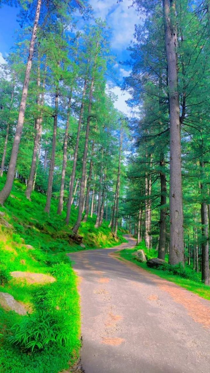 Good morning dear friends ❣️ from Hill top Kashmir Let's go back to college