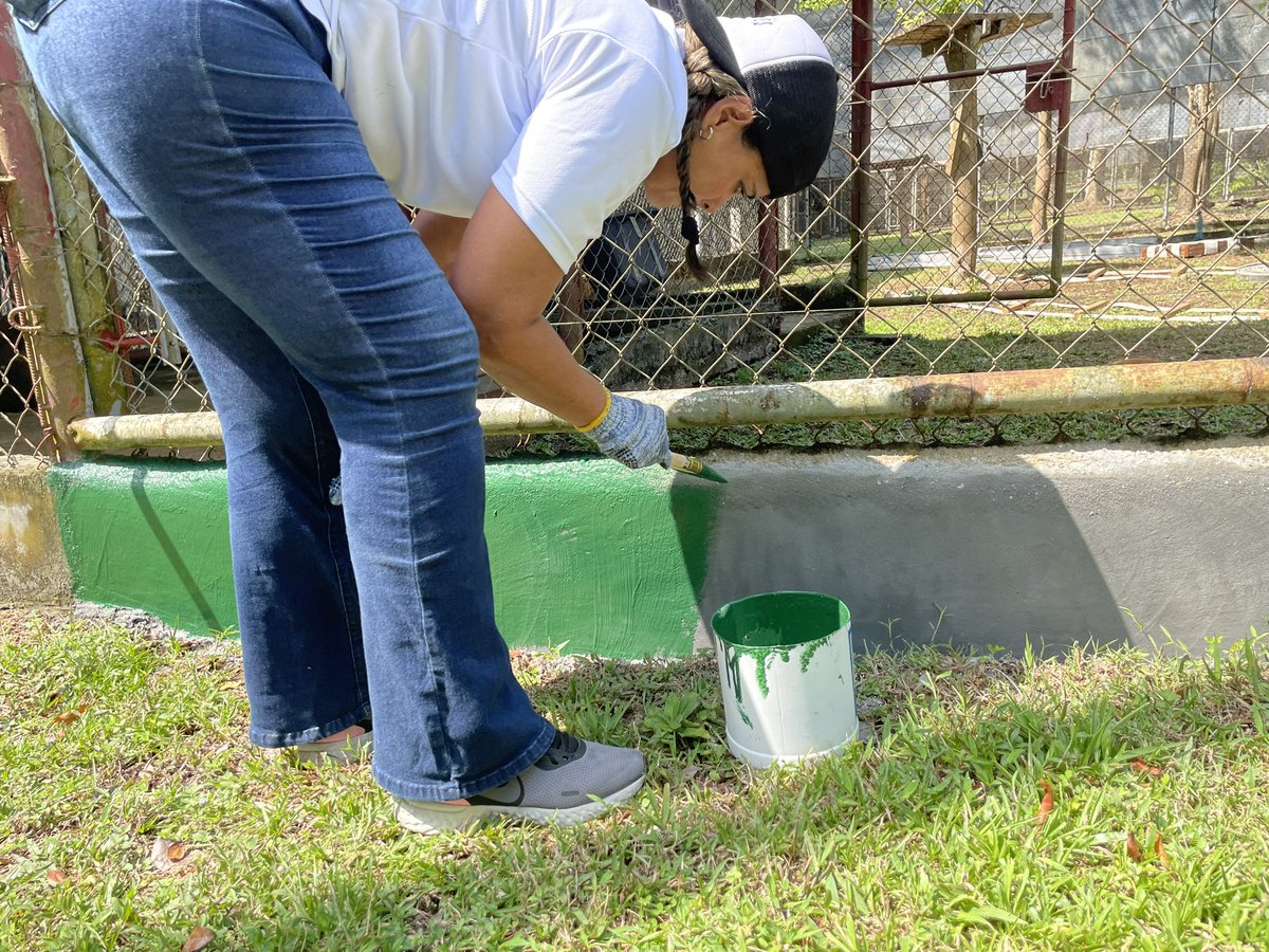 VoluntarioPTY's tweet photo. #BuenasAccionesPTY @RicardoPerezSA @ParqueSummit 

@fundacionjupa 
@BnaiBrith 
@VoluntarioPTY @ponteenalgo 
@GoodDeedsDay https://t.co/9foSZ41RJv
