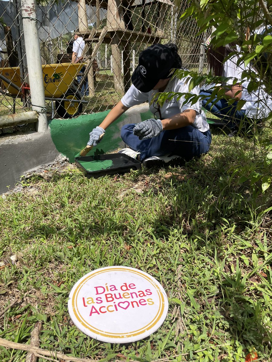 VoluntarioPTY's tweet photo. #BuenasAccionesPTY @RicardoPerezSA @ParqueSummit 

@fundacionjupa 
@BnaiBrith 
@VoluntarioPTY @ponteenalgo 
@GoodDeedsDay https://t.co/9foSZ41RJv
