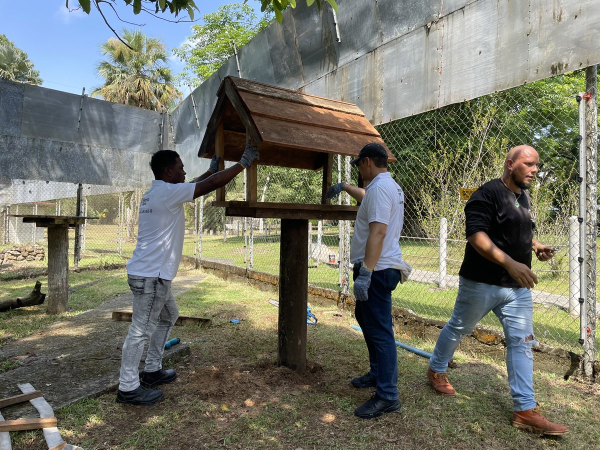 VoluntarioPTY's tweet photo. #BuenasAccionesPTY @RicardoPerezSA @ParqueSummit 

@fundacionjupa 
@BnaiBrith 
@VoluntarioPTY @ponteenalgo 
@GoodDeedsDay https://t.co/9foSZ41RJv