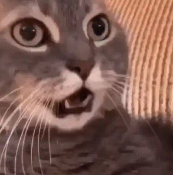 A gente esperava surto da Bia e no final a dod&oacute;i &eacute; a Alane #BBB24 https://t.co/cRf6KK4dKj<a href="/tag/bbb24"class="tags"><span>#bbb24</span></a>