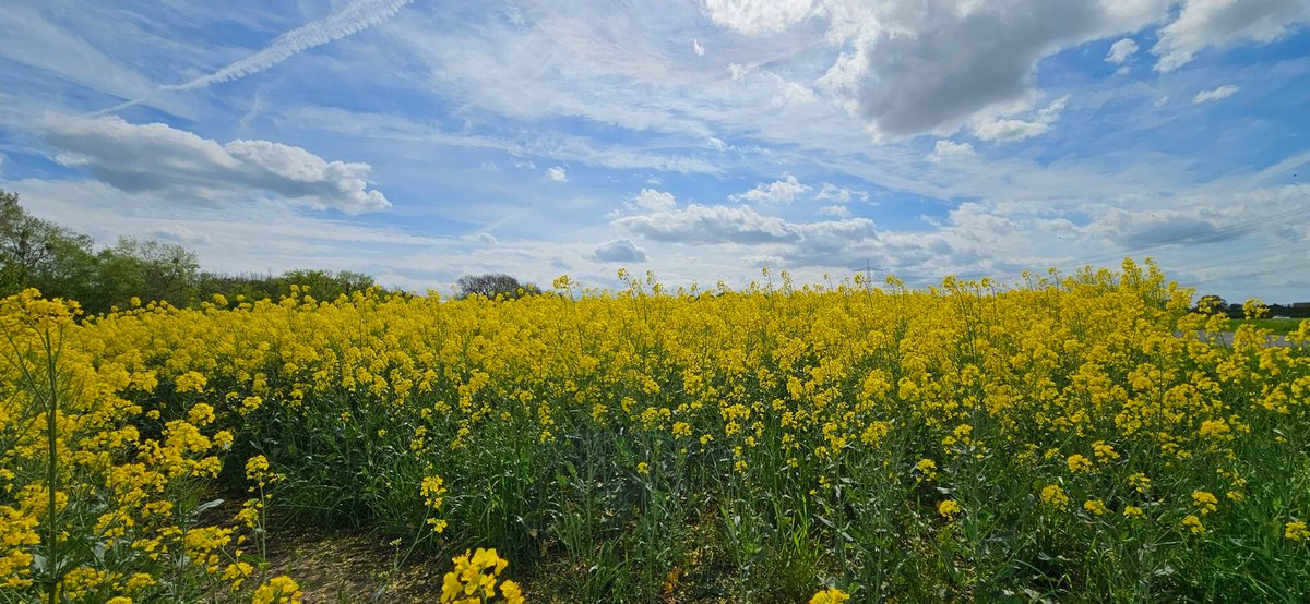 fahrraddreamer tweet picture