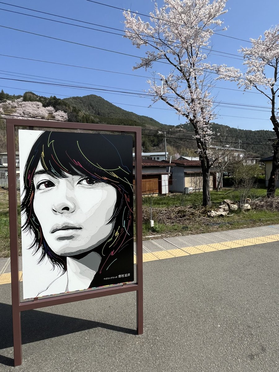 machamakaron's tweet photo. 桜が満開と聞いて🌸

志村くんにおめでとうを言いに
急遽来ちゃった🗻

フジファブリック
20周年おめでとう㊗️
改めて
志村くん、ありがとう https://t.co/JNV1l1oTLs