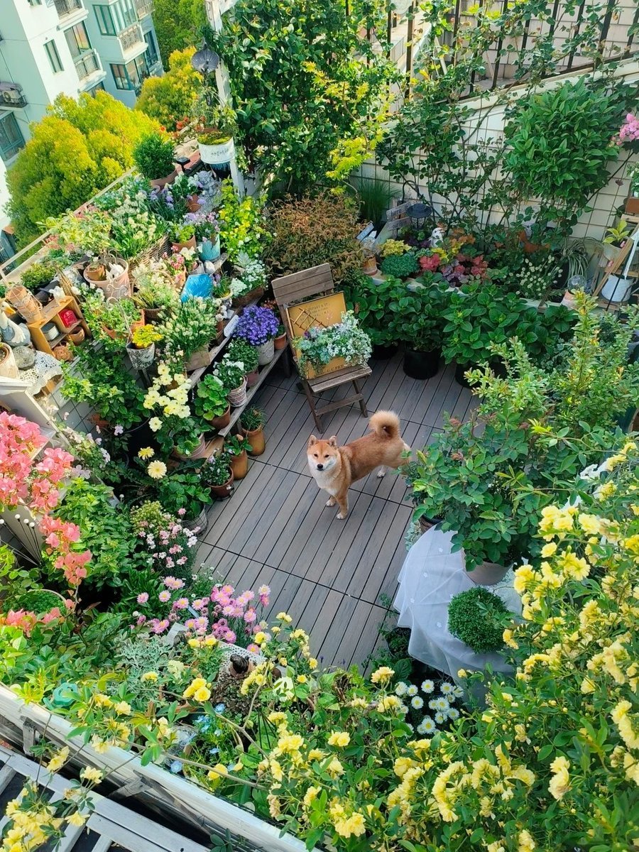 A lovely garden.