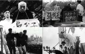 寒江独钓 tweet media