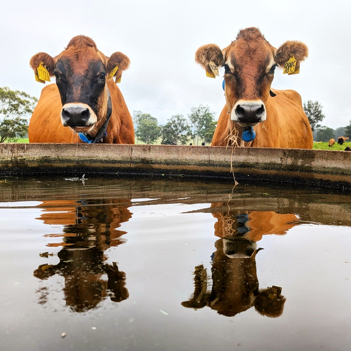 Time for a drink