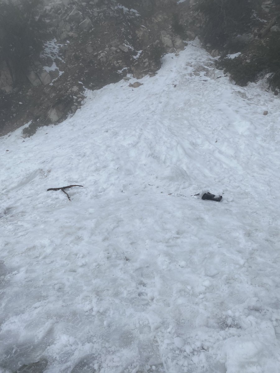 shar3b3ar_'s tweet photo. lil trip to da mountain :3
#babysfirstsnow #chilly #bbbrrrrr #snowandballs #myballsarefrozen #gamersgooutsideforfivehoursmax https://t.co/Rhzm2ZxyRm
