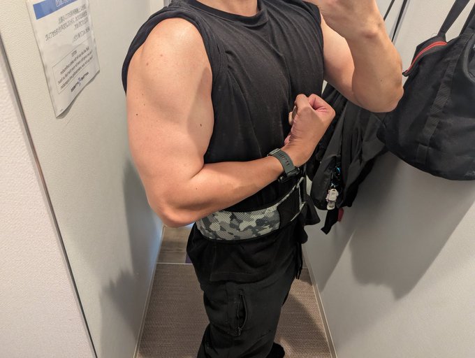 ここ半年、制作に全力を投じる→メンタルがやばくなる→筋トレするとメンタル回復するので筋トレする→家で作業する→メンタルやばくなる→ジムで筋トレするを繰り返してきたんですけど 瓦解しはじめたので制作中の作品制作凍結するかもしれん…… これは筋トレの副次効果により筋肉がついた身体です 