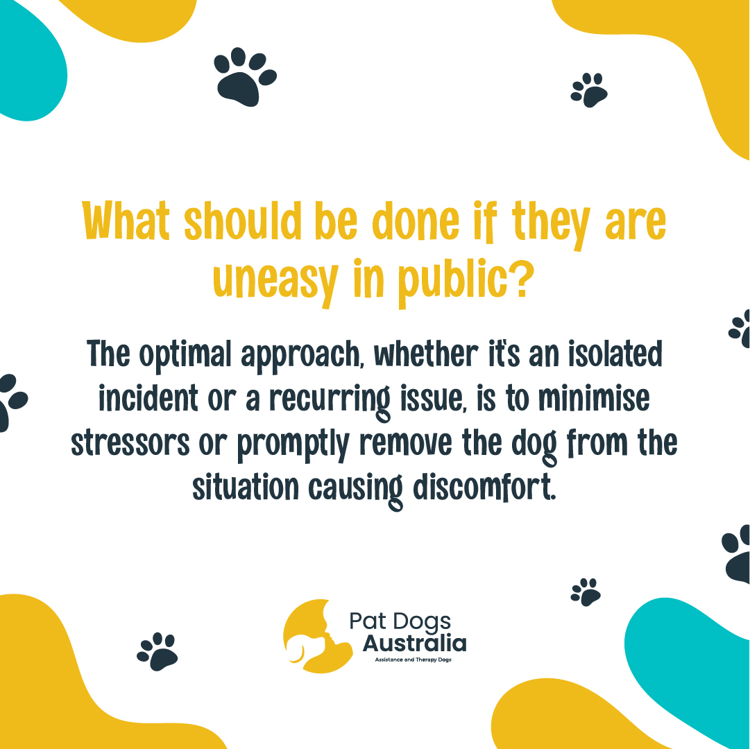 Spot the  signs, support the paws! 🐾 Assistance dogs are trained, but they signal  when stressed. Let's keep them comfy, so they can keep helping! 🐶💙 #assistancedogs #therapydogs #mentalhealth #dogsofaustralia #iliketopatdogs