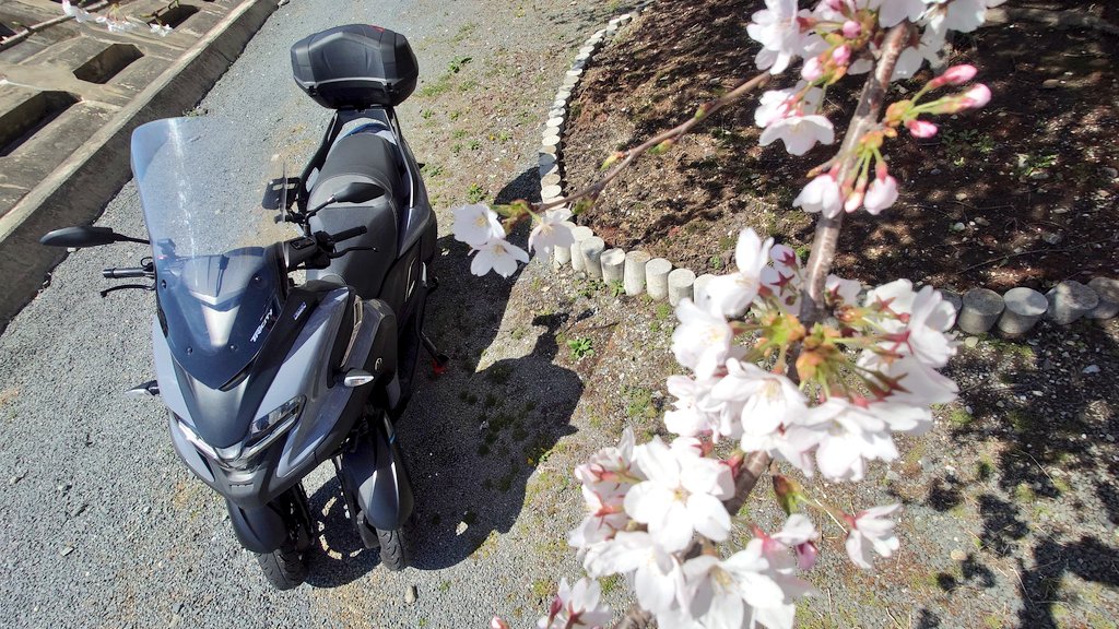 つばたーん【トリシティ300】さかり駅の記録テツ@三陸沿岸鉄(元沿線民) tweet media