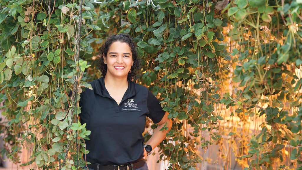 PurdueAgAlumni's tweet photo. Celina Gómez and Sofia Gómez earned their bachelor's degrees from Zamorano Pan-American Agricultural School in Honduras. Gómez invited her student Sofia Gómez from the University of Florida and Zamorano to Purdue to join her lab.
https://t.co/kl6mn0Espw https://t.co/wilFAtIjE1