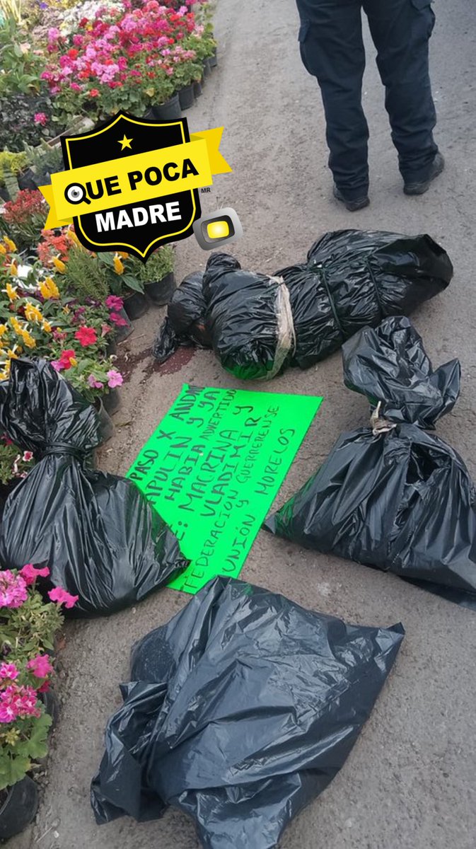 ‼️HASTA CUANDO MÉXICO VA A DEJAR DE SER UN PAÍS ACAPARADO POR EL CRIMEN❓🚨 En #Temixco fueron localizadas bolsas con restos humanos sobre la autopista México-#Cuernavaca