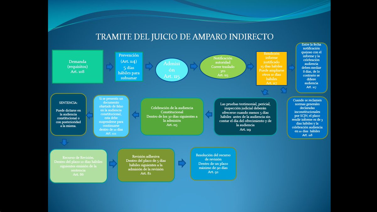 Etapas y terminos procesales del Juicio de Amparo Indirecto y del Juicio de Amparo Directo.