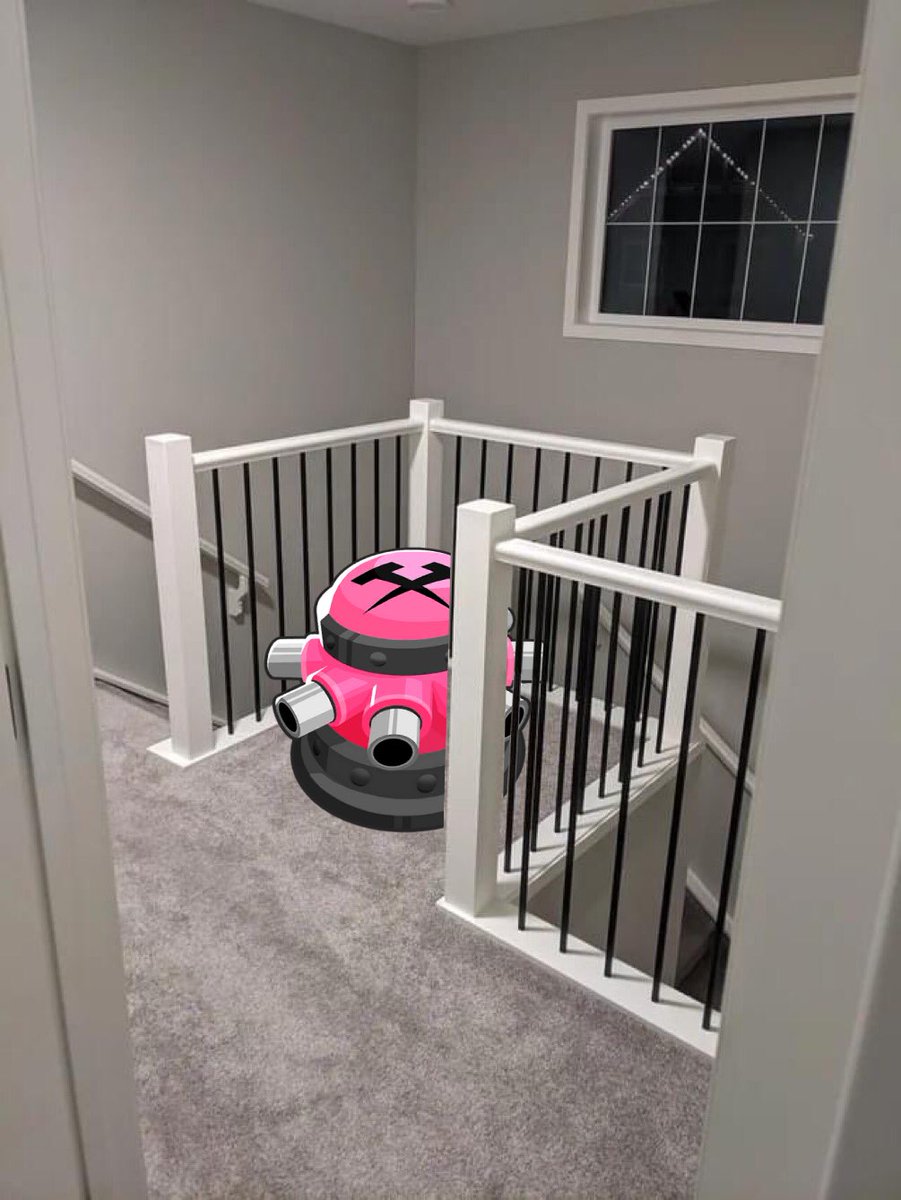 Duke The Ferret tweet media