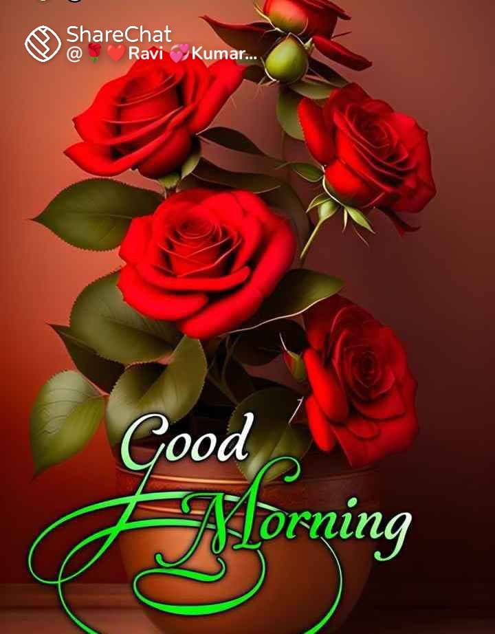 Mishra Sanjay Kumar (@mishrasanjayku6) on Twitter photo 