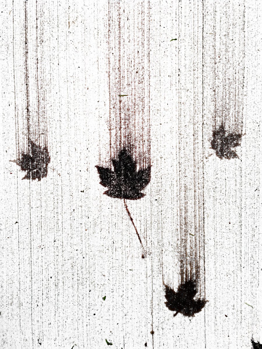AtomicRoderick's tweet image. #AlamyMonochrome #AlamyPOTM @Alamy_Editorial    

Falling Canada