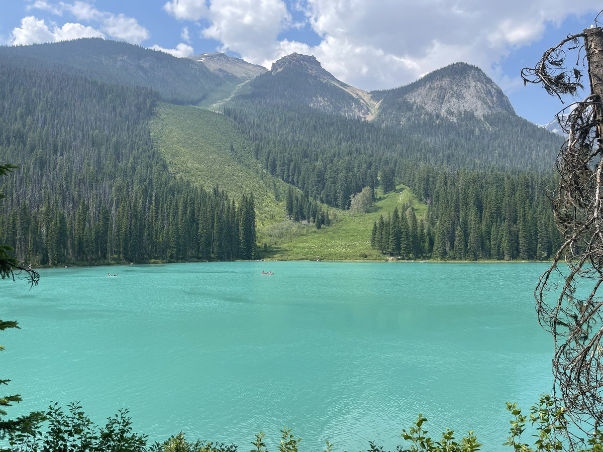 Jev (@goonjar) on Twitter photo 