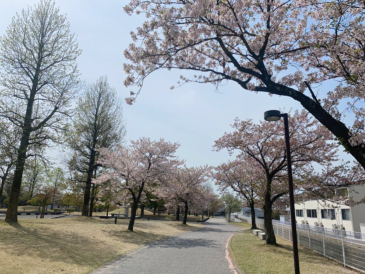 max99600832's tweet photo. 🌸🌸 https://t.co/7flM0bFKMQ