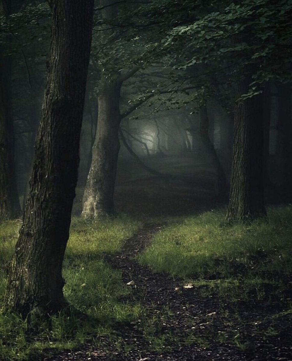 It's midnight, my lovelies. The path is at your feet. Let your spirit lead the way. 🖤🖤