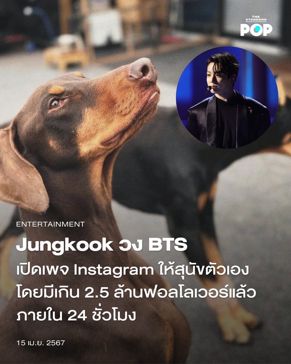 Jungkook วง BTS เปิดเพจ Instagram ให้สุนัขตัวเอง โดยมีเกิน 2.5 ล้านฟอลโลเวอร์แล้วภายใน 24 ชั่วโมง

thestandard.co/bts-jungkook-o…

#JungKook #BTS
#JungKookBTS
#BAM #Dog