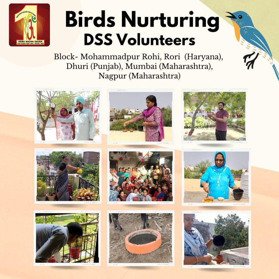 #DeraSachaSauda has initiated a remarkable campaign Birds Nurturing to #FeedFeatheredFriends. This nurturing campaign the daily provision of water&grains on rooftops,balconies especially during scorching summers