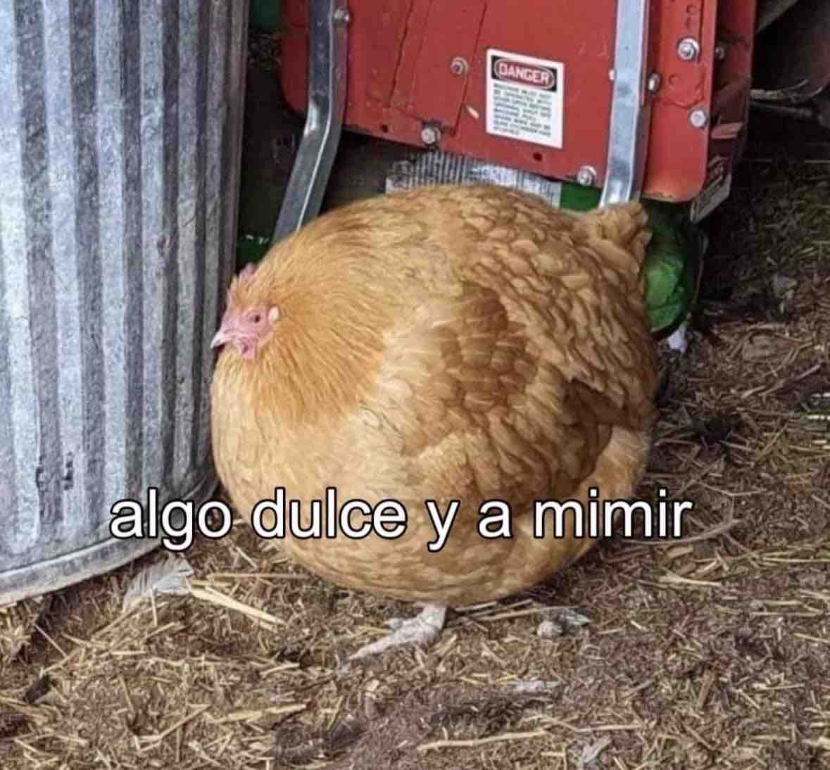 Guarromantico_'s tweet photo. Y a mimir 😴 https://t.co/cnaEk2L6nL