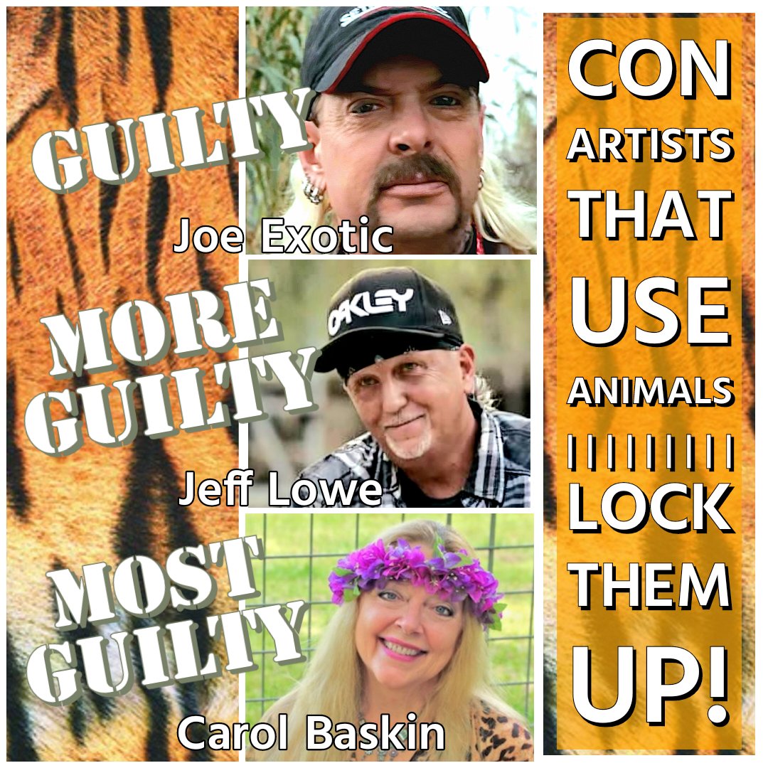 ＃tigerking ＃JeffLowe ＃CarolBaskins ＃Peta ＃free Joe he has served enough time for spouting off when Jeff and ＃Carol are the real criminals.