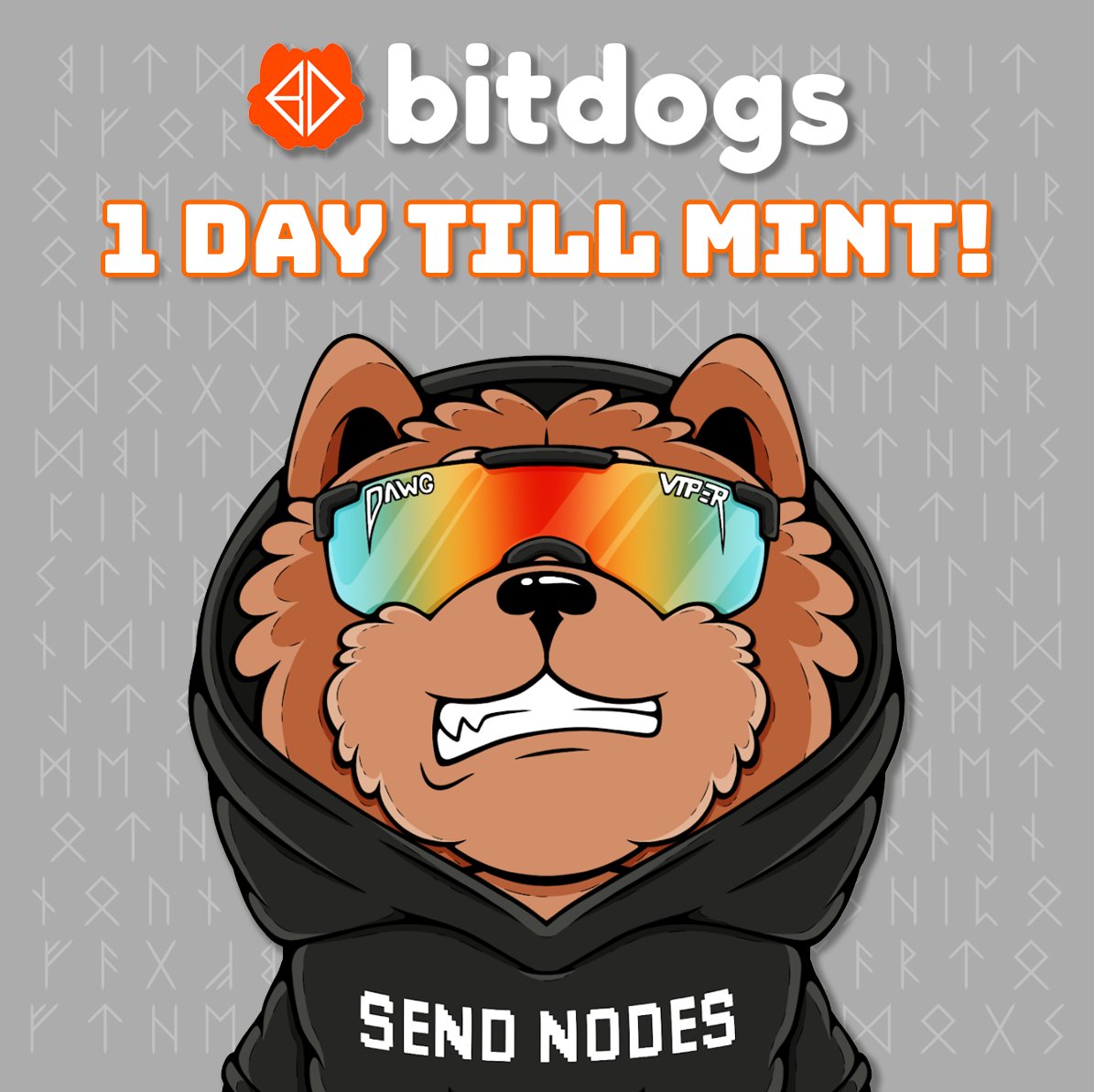 bitdogs_btc's tweet photo. The Bitdogs are coming. The Bitdogs are hunting 🎯 https://t.co/tnkXH19JeW