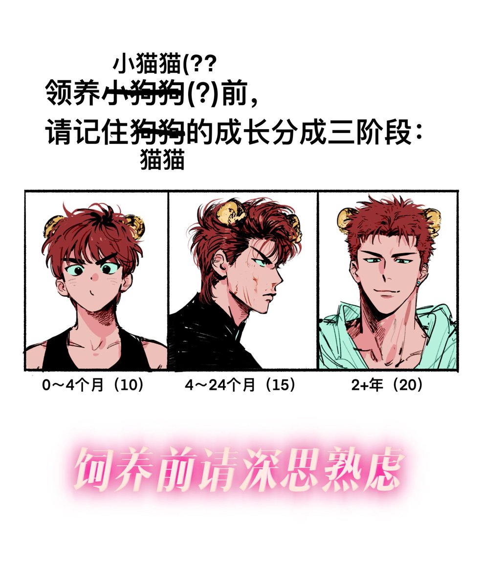 🌊🌸🌊
饲养前请深思熟虑