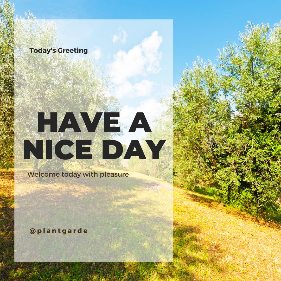 ☀️ May every moment be filled with joy, every step guided by positivity, and every challenge overcome with resilience. Here's to making today amazing! Have a nice day, everyone! 🌸
#haveaniceday #positivevibes #evoo #oliveoil #olive  #coldpressed #healthyfood #mondaymotivation