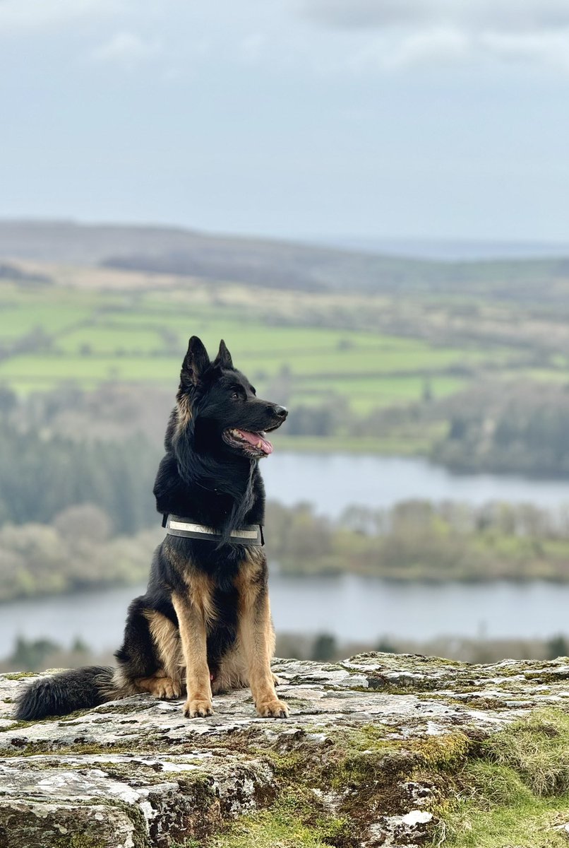 CallMeConflict's tweet image. First of many trips to the local countryside, watching the sunset was amazing and only 10 mins walk from my house.