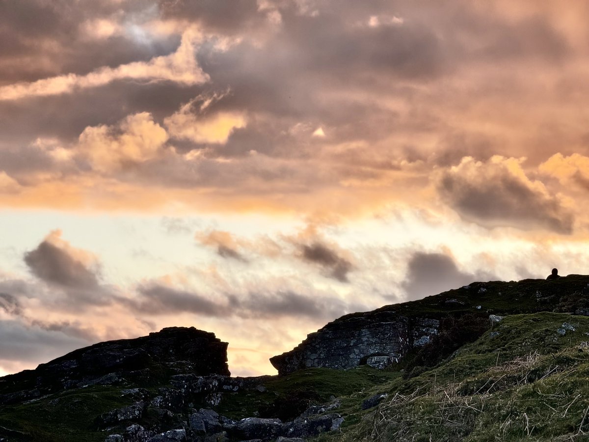 CallMeConflict's tweet image. First of many trips to the local countryside, watching the sunset was amazing and only 10 mins walk from my house.