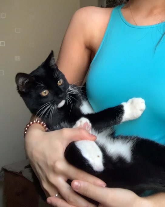 chlorexic's tweet photo. Fat arm but my cutie patootie makes up for it https://t.co/Rmyla0d0qA